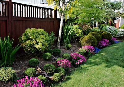 Flower Landscaping in Ventura County, CA