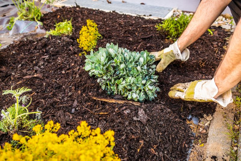 Hedge Planting in Ventura County, CA